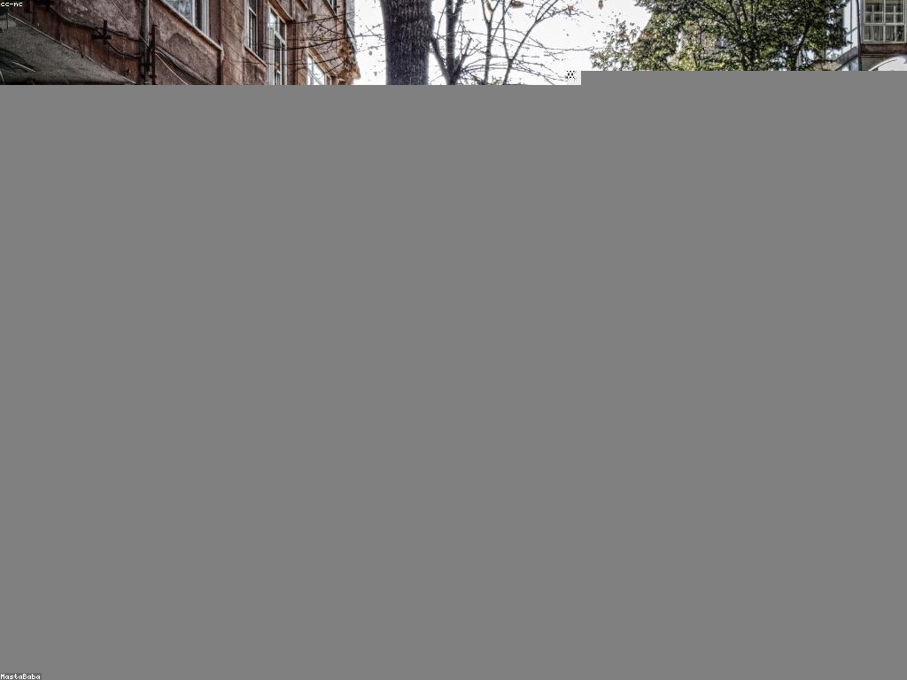 Newmarket drywall services